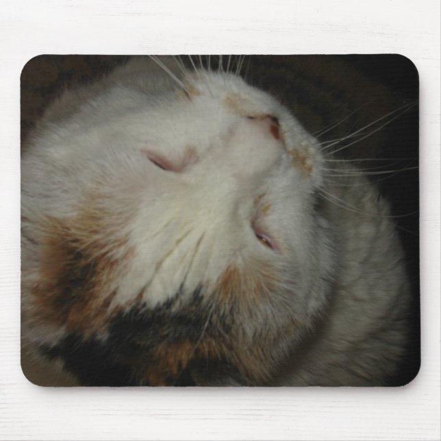 Mom, I'm sleeping!! cat mousepad (Front)