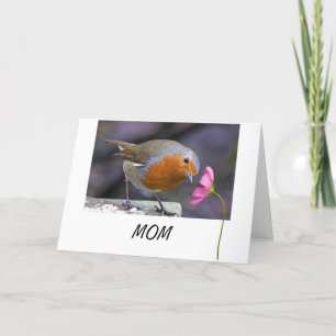 MOM MÉRITE LE MEILLEUR=PAS DE TWEETS=UNE CARTE POU