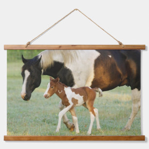 Mom & Newborn Paint Filly Hanging Tapestry