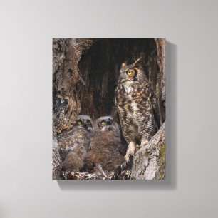 Mom On Guard Duty Canvas Print