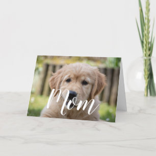Mom Pet Photo Mothers Day Cute Puppy Dog Mom Card