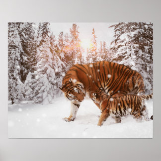Mom & son tiger poster