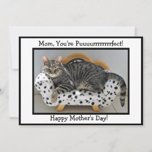 Mom, You're Puurrfect! Tiger Cat Mother's Day Holiday Card