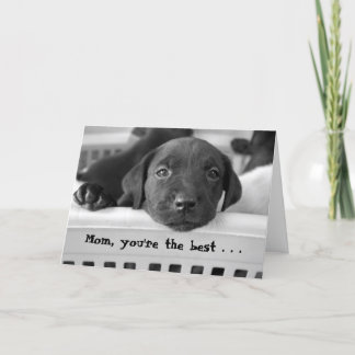 Mom, you're the best . . . card