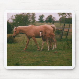 Moma horse and baby horse mouse pad