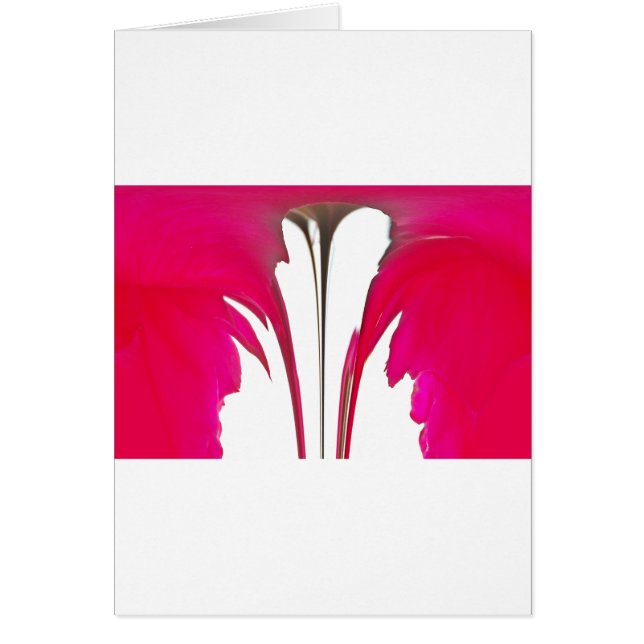 Moment Captured: A Red Rose Petal Elegance (Front)