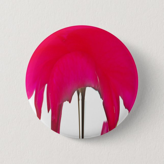 Moment Captured: A Red Rose Petal Elegance 2 Inch Round Button (Front)