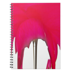 Moment Captured: A Red Rose Petal Elegance Notebook
