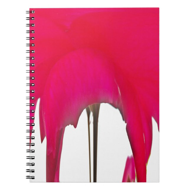 Moment Captured: A Red Rose Petal Elegance Notebook (Front)