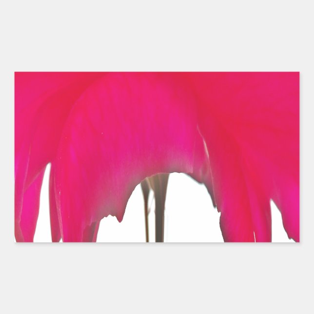 Moment Captured: A Red Rose Petal Elegance Sticker (Front)