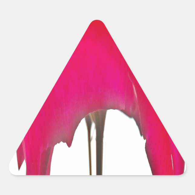 Moment Captured: A Red Rose Petal Elegance Triangle Sticker (Front)