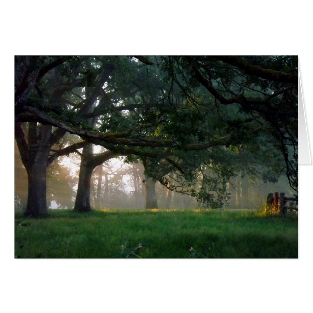 Moment d'or (Devant horizontal)