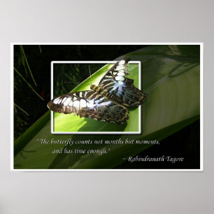 Moments in Time Poster