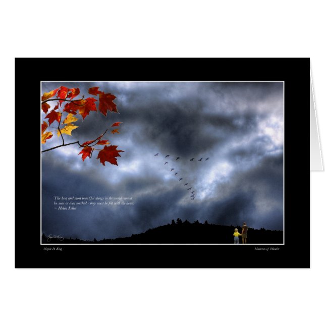 Moments of Wonder (Front Horizontal)