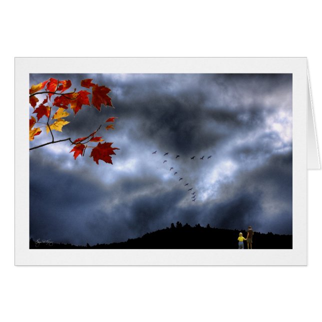 Moments of Wonder (Front Horizontal)