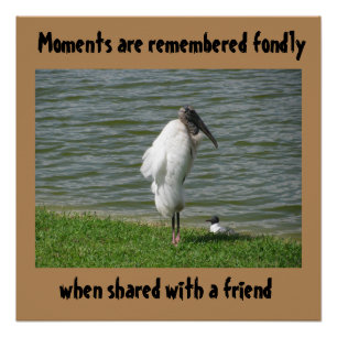 Moments Se Souviennent Fondement, Poster Glacé