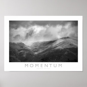 Momentum Poster