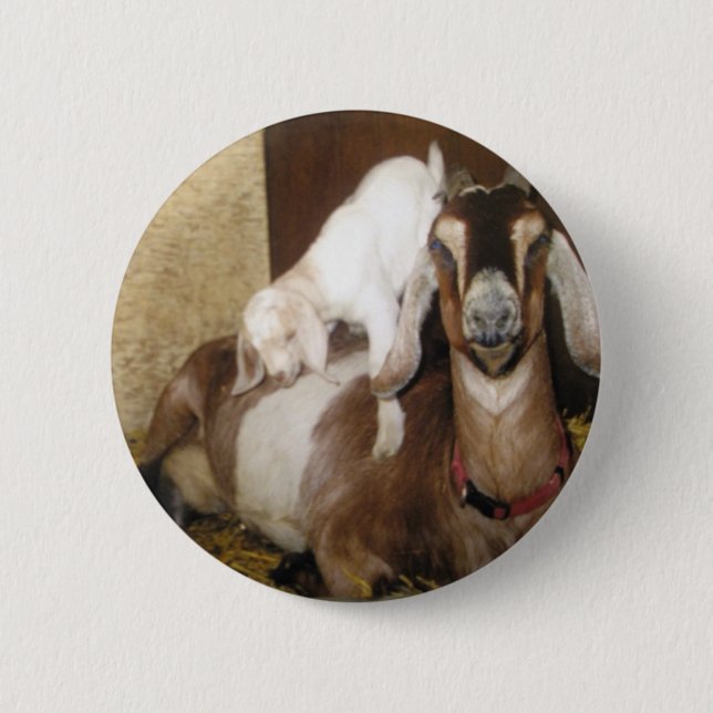 Momma and Baby Goat 2 Inch Round Button (Front)