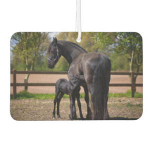 Momma and Baby Horse Air Freshener