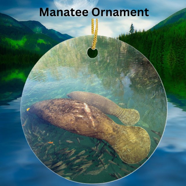 Momma and Baby Manatee Ceramic/Porcelain Ornament (Creator Uploaded)