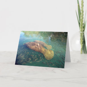 Momma and Baby Manatee Mother's Day Card