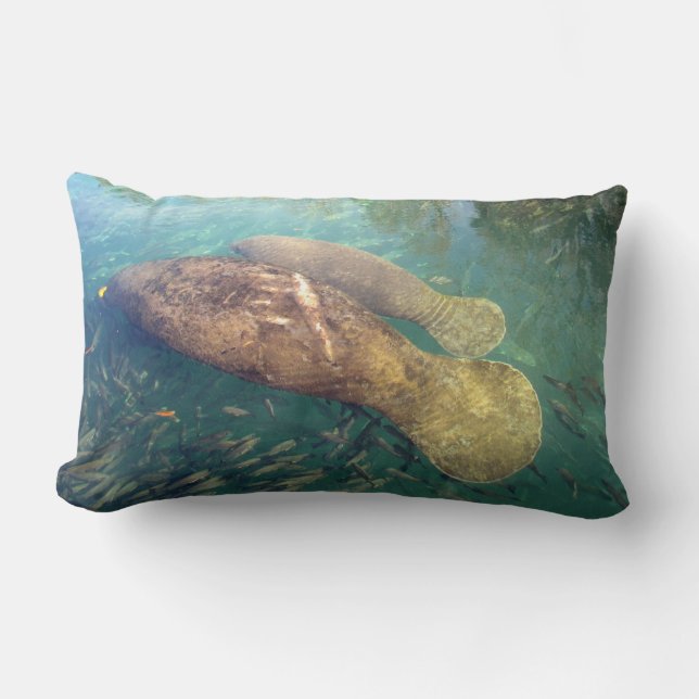Momma and Baby Manatee Pillow (Front)