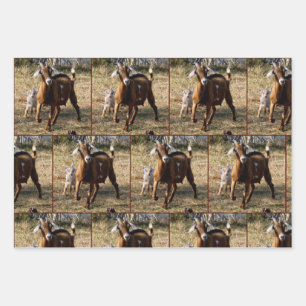 Momma and Kid Goat Wrappping Paper Sheets
