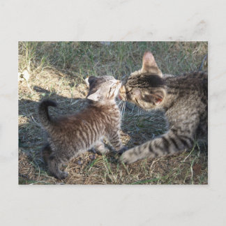 Momma cleans Baby Postcard