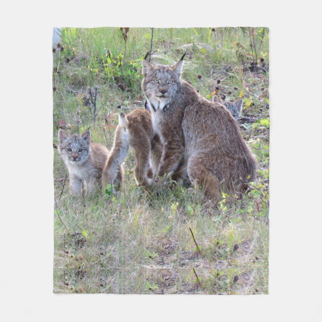 Momma Lynx and Babies Fleece Blanket (Front)