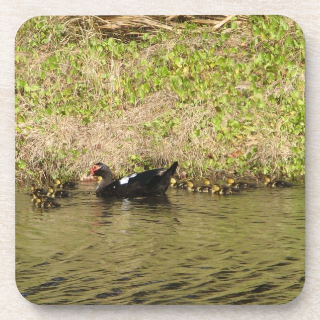 Momma Muscovy et Baby Ducks Dessous de verre de li (Devant)