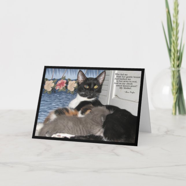 Momma's Love - Carte Fête des Mères Chat (Devant)