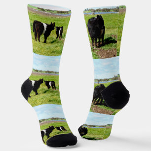 Mommy And Babies Galloway Cow, Crew Socks