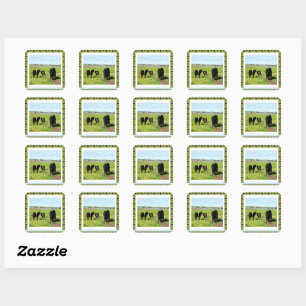 Mommy And Baby Belted Galloway Cows, Square Sticker