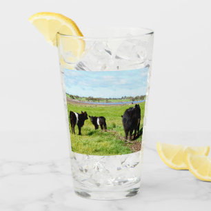 Mommy And Baby Galloway Cow, Drink Glass