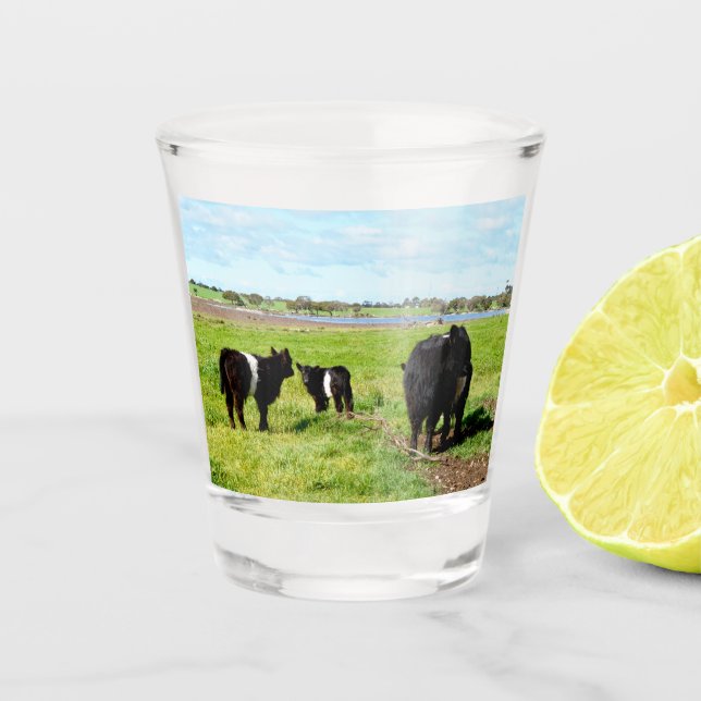 Mommy And Baby Galloway Cow, Shot Glass (Front)