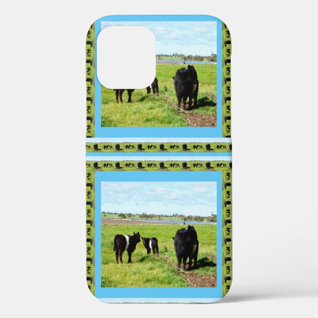 Mommy And Baby Galloway Cows, Case-Mate iPhone Case (Back)