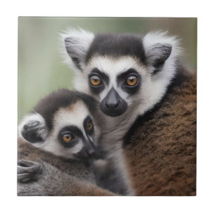 Mommy And Baby Lemur Having A Cuddle, Tile