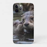 Mommy And Baby Otter Having A Cuddle In The River,