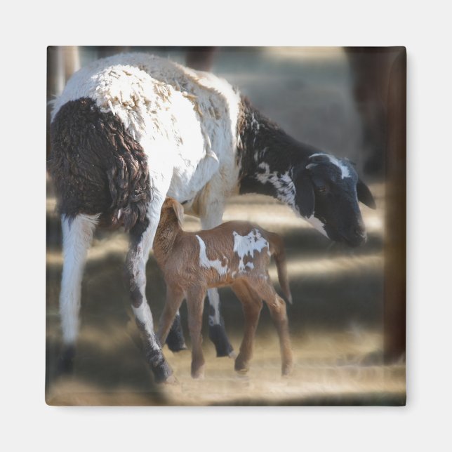 Mommy & Baby Goat Magnet (Front)