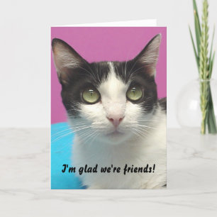 Momo - I'm glad we're friends! Blank Card