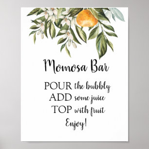 Momosa Bar Baby Shower Drink Sign