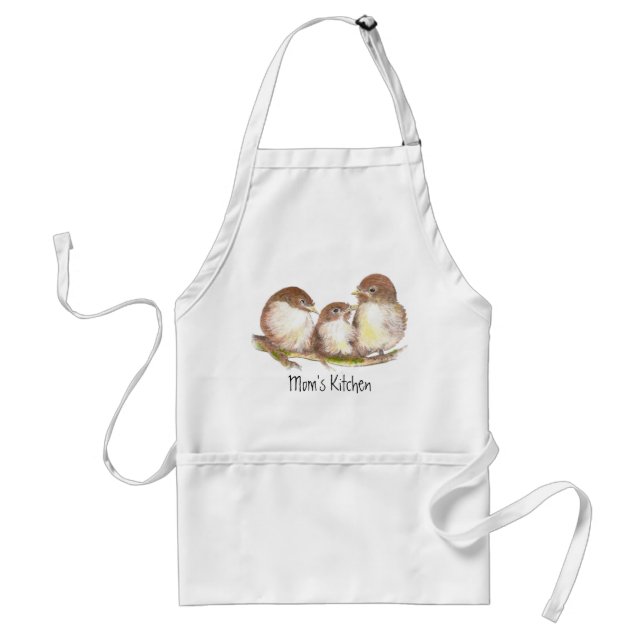 Mom's Kitchen ,Cute Family of Birds, Standard Apron (Front)