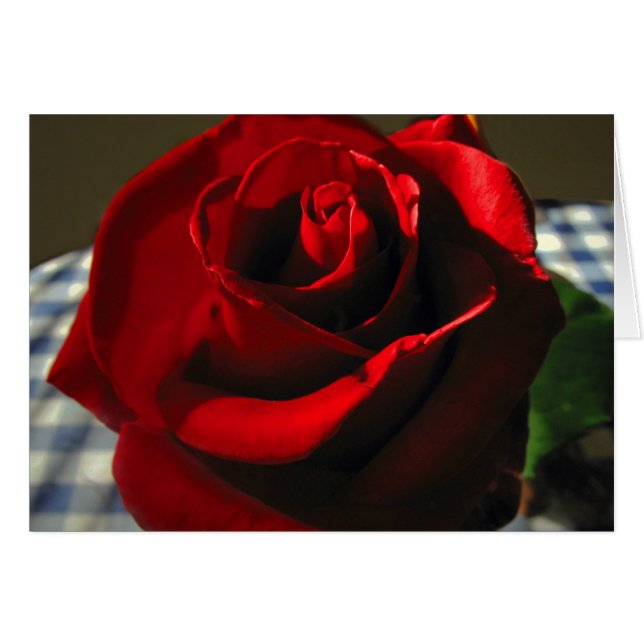 Moms Rose rouge (Devant horizontal)