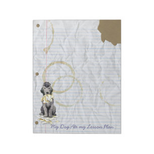 Mon Bedlington Terrier a mangé mon carnet de plan