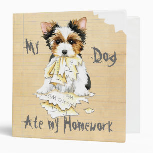 Mon Biewer Terrier Ate Mon Classeur À Mâle 3 Annea