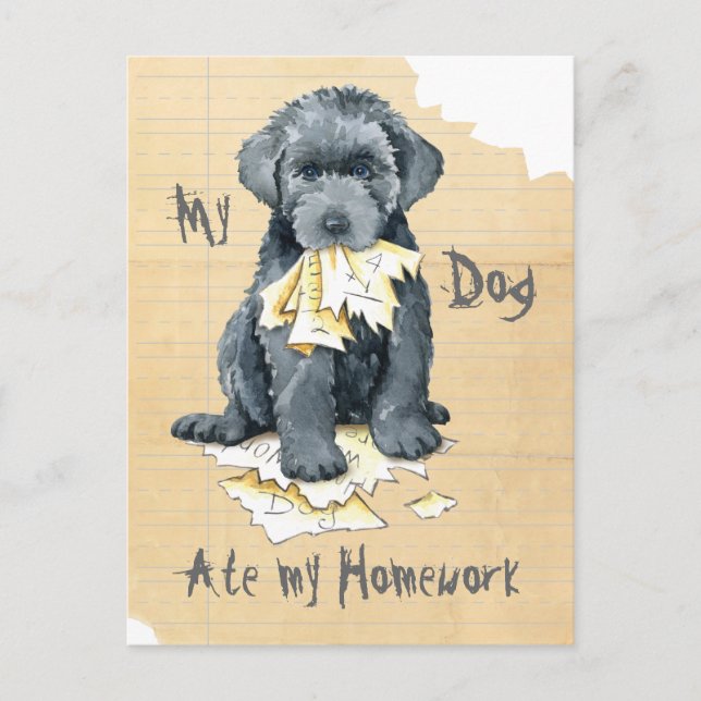 Mon Bouvier des Flandres Met ma carte postale (Devant)