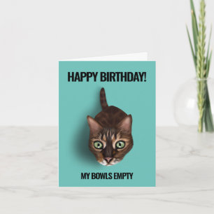 Mon Bowl Est Vide - Drôle Chat Carte Anniversaire