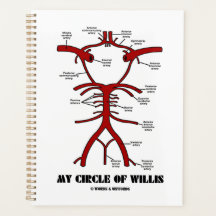 Mon Cercle De Willis Arteries Humour Anatomique