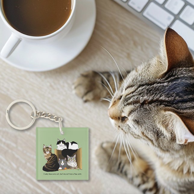 Mon chat a des chats (Créateur téléchargé)
