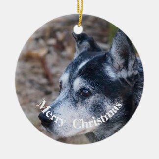 Mon chien ornement de Noël